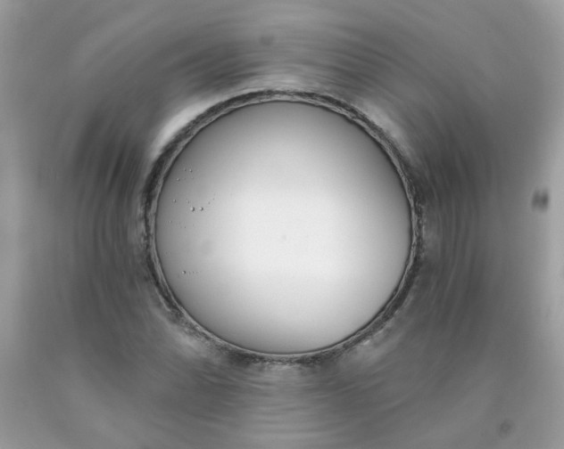 X0000090421070200707272106