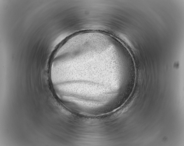 X0000090421071200707272106