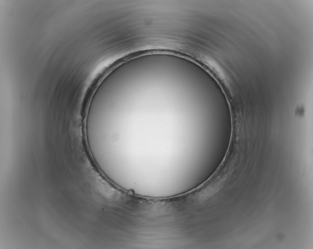 X0000090421072200707272106