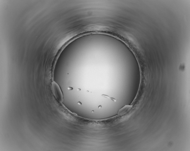 X0000090421073200707272106