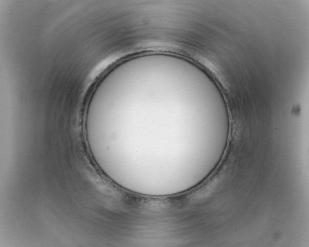 X0000090421074200707272106