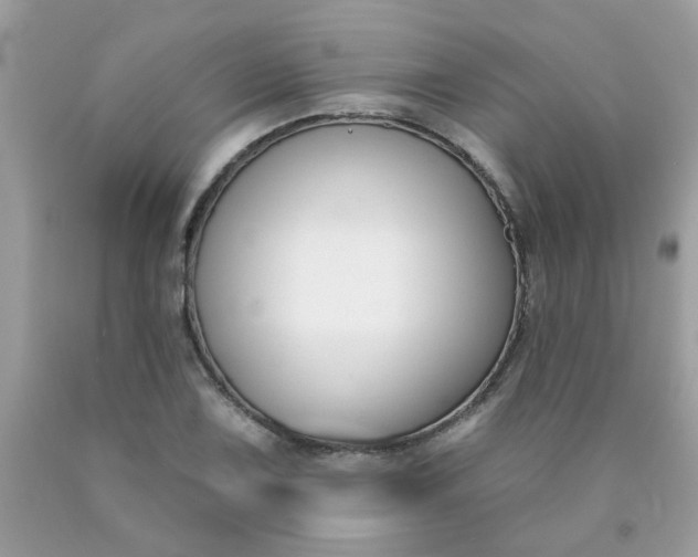 X0000090421075200707272106