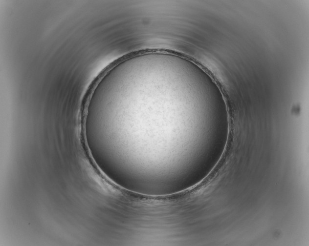 X0000090421076200707272106