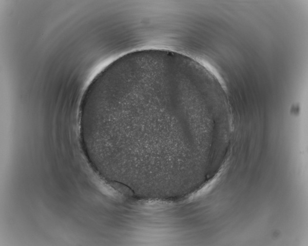 X0000090421077200707272105