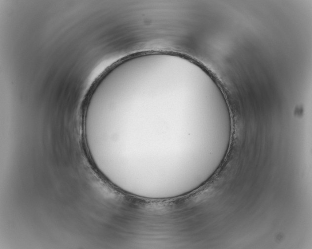 X0000090421078200707272105