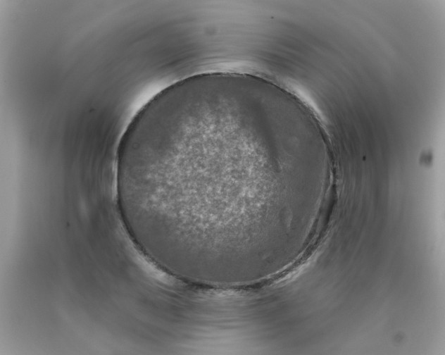 X0000090421079200707272105