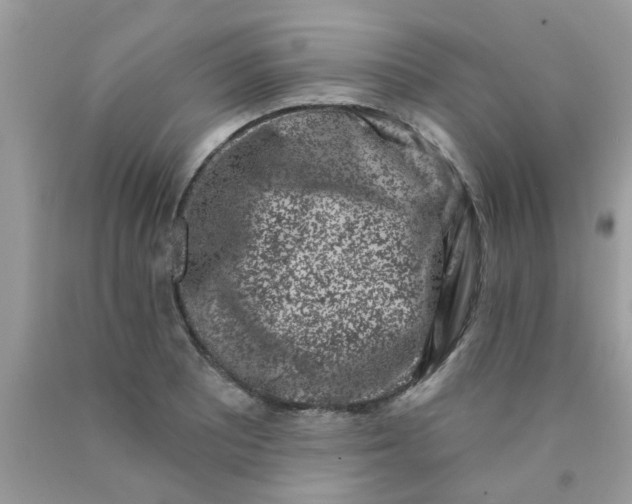 X0000090421081200707272105