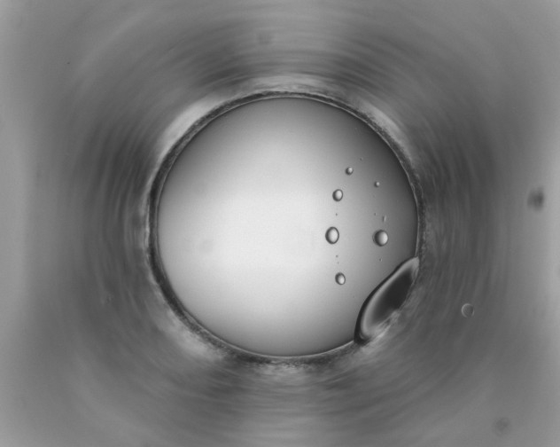 X0000090421082200707272105