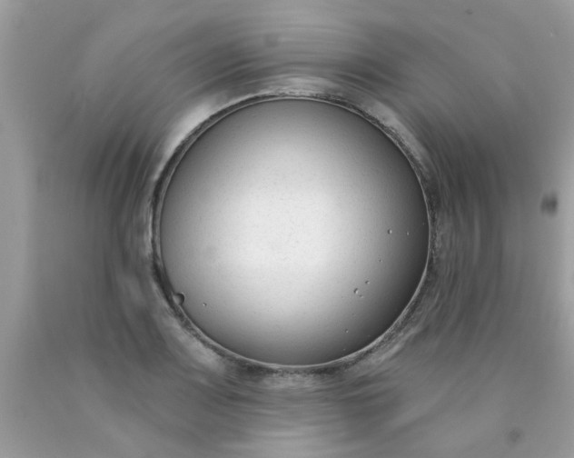 X0000090421083200707272105