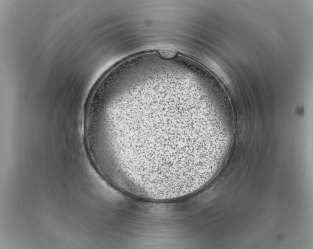 X0000090421084200707272105