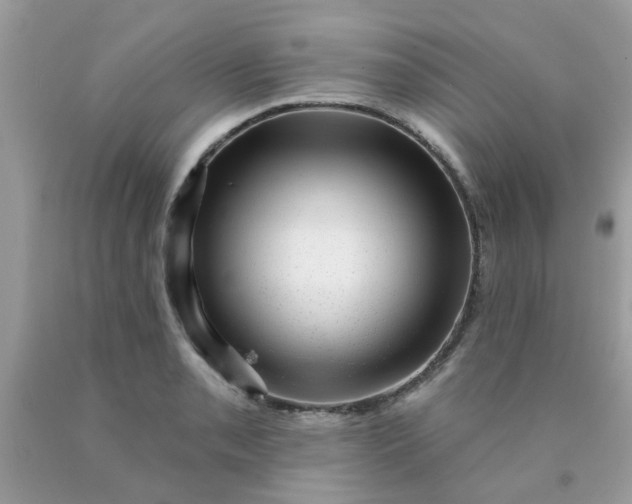 X0000090421085200707272105