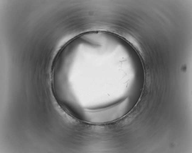 X0000090421088200707272105