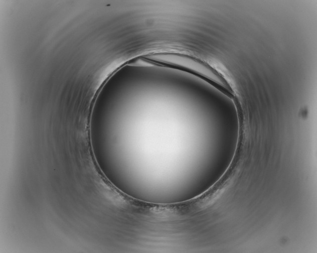 X0000090421089200707272105