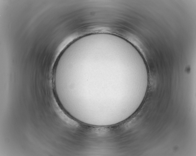 X0000090421090200707272105