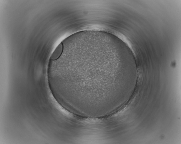 X0000090421091200707272105