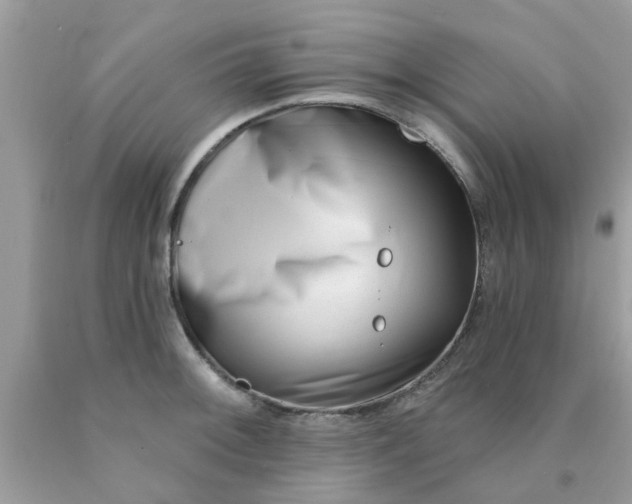 X0000090421092200707272105