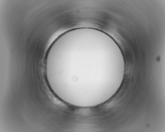 X0000090421094200707272105