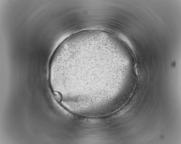 X0000090421095200707272105