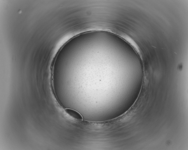 X0000090421096200707272105