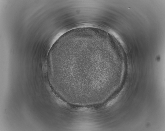 X0000090421097200707272105