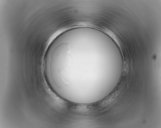 X0000090421098200707272105