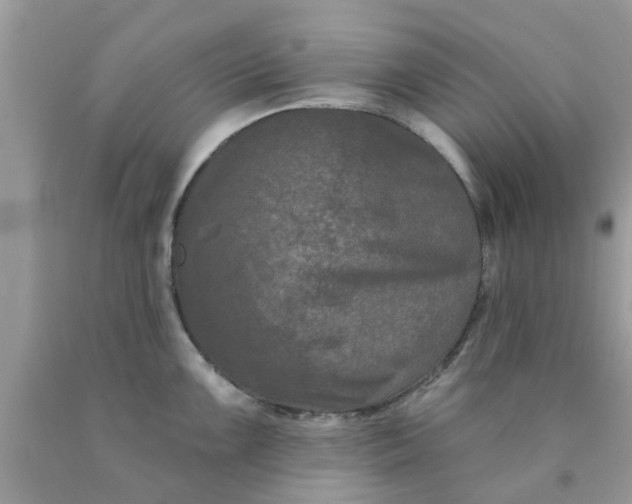 X0000090421099200707272105