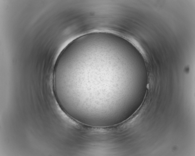 X0000090421100200707272105