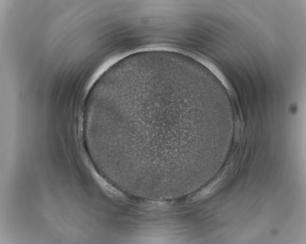 X0000090421101200707272105