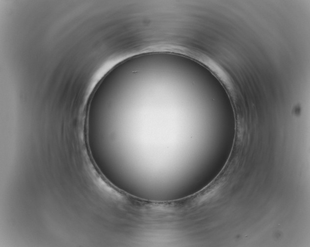 X0000090421102200707272105