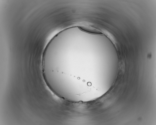 X0000090421103200707272105