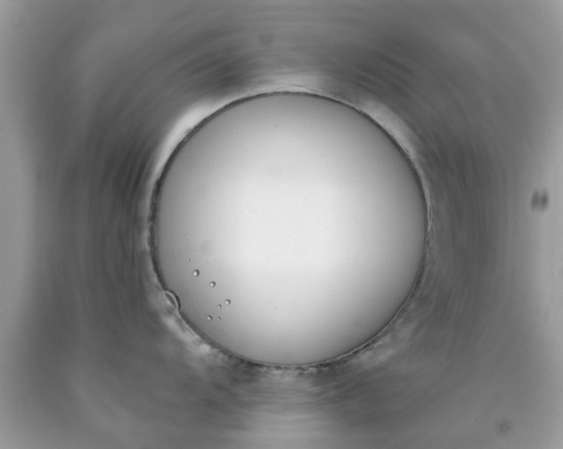 X0000090421104200707272105