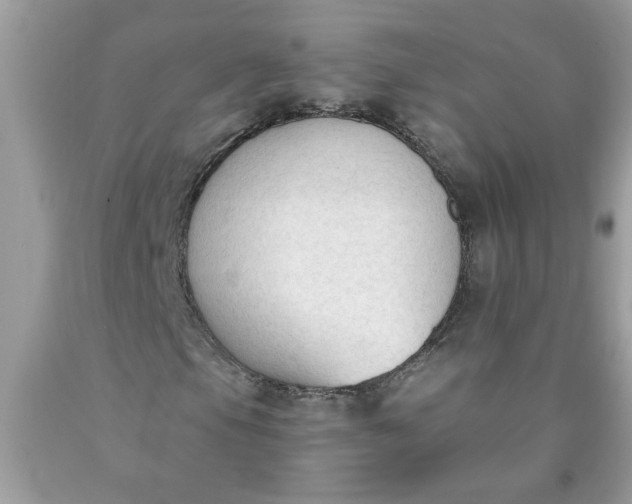 X0000090421105200707272104