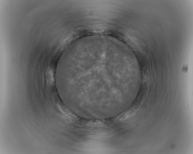 X0000090421106200707272104