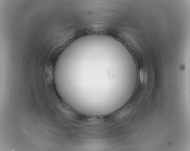 X0000090421107200707272104