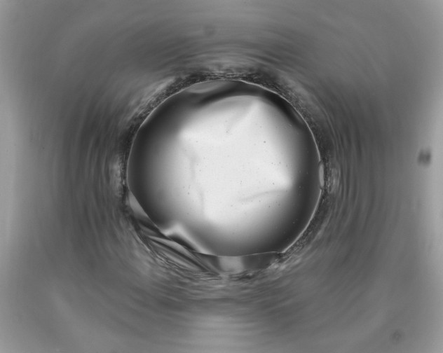 X0000090421108200707272104