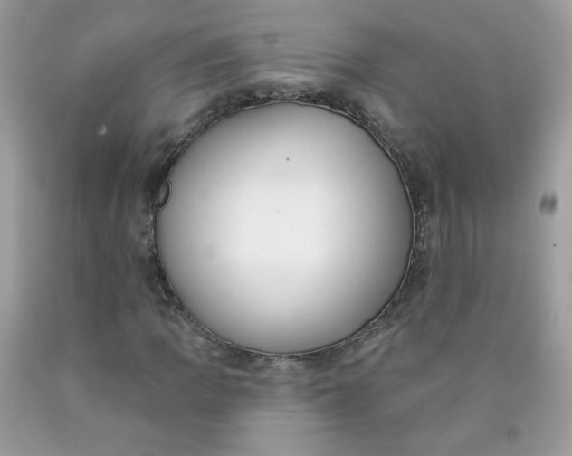 X0000090421109200707272104