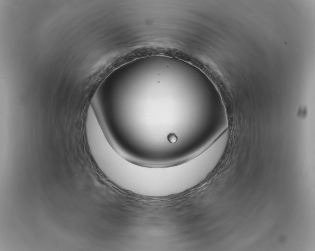 X0000090421110200707272104