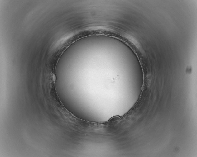 X0000090421111200707272104