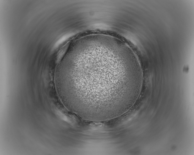 X0000090421112200707272104