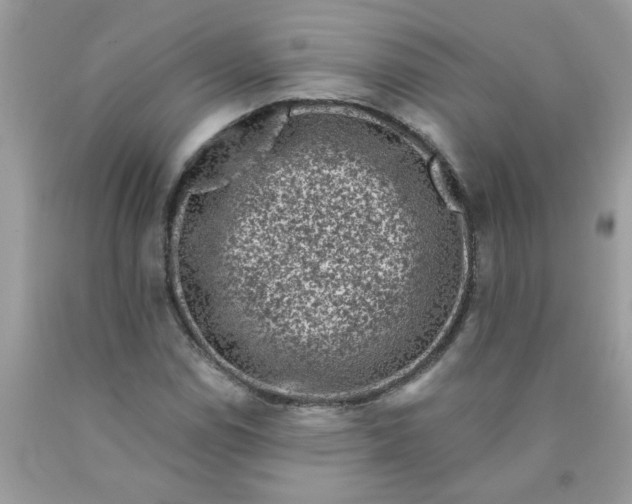 X0000090421114200707272104