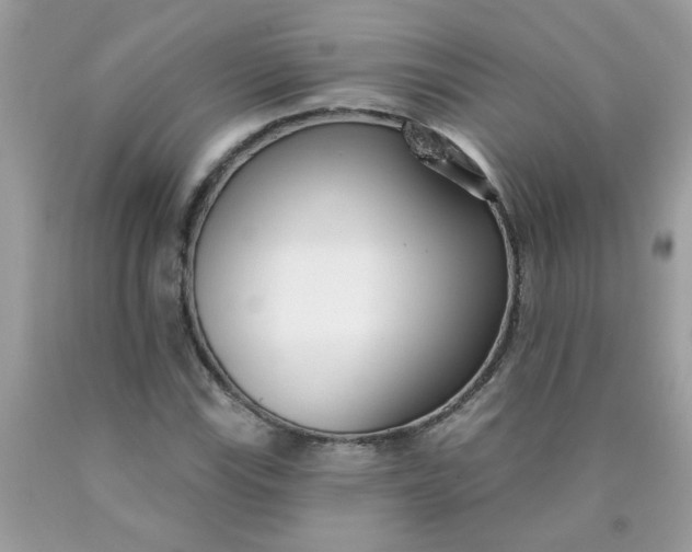 X0000090421115200707272105