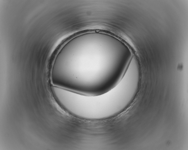 X0000090421116200707272105