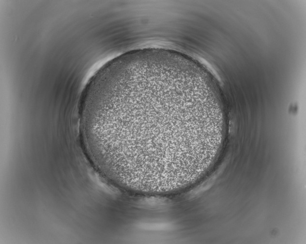 X0000090421117200707272105