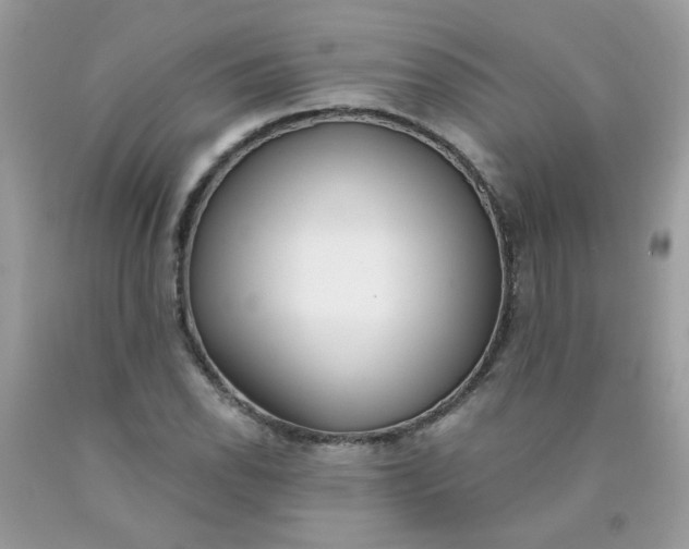 X0000090421118200707272105