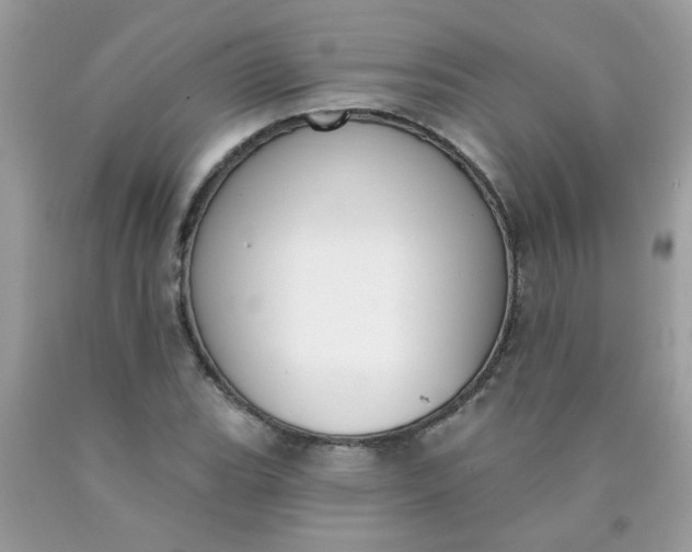 X0000090421119200707272105