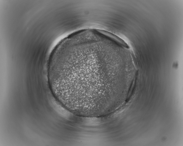 X0000090421120200707272105