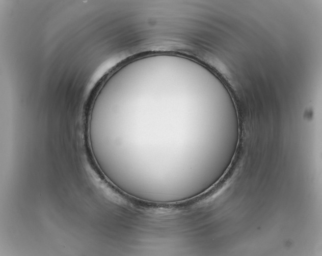 X0000090421122200707272105