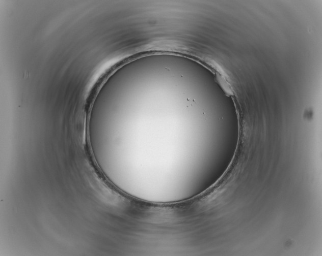 X0000090421123200707272105