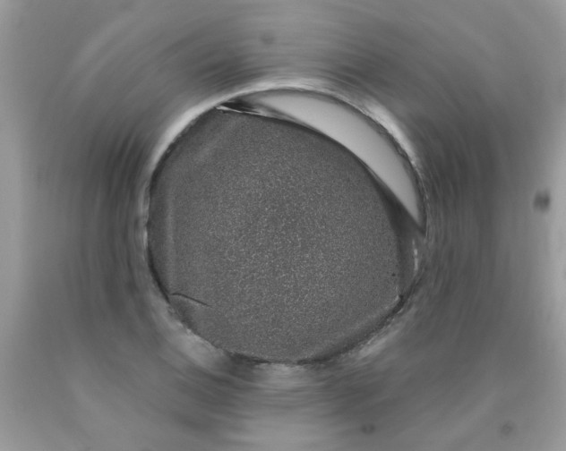 X0000090421124200707272105