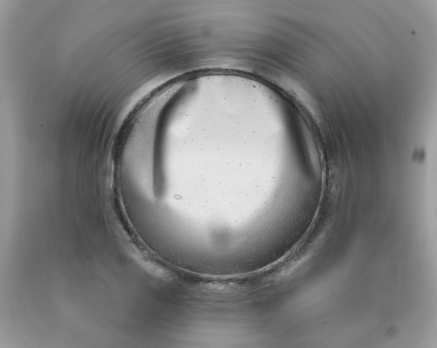 X0000090421125200707272105